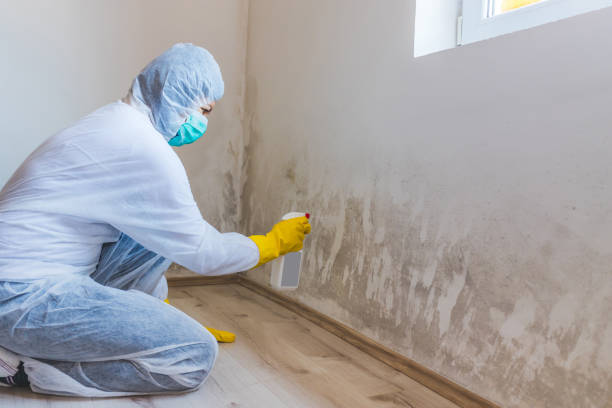 Licensed Commercial Mold Remediation service in Lewistown, PA - WQB Mold Removal