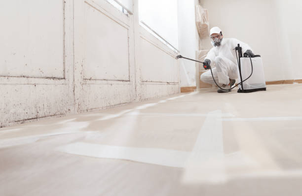 Trusted Commercial Mold Remediation service in Lewistown, PA - WQB Mold Removal